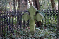 friedhof-stader-str_3600