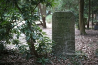 friedhof-stader-str_4005