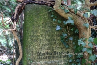 friedhof-stader-str_6700