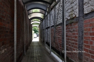 viverstr_5434_1